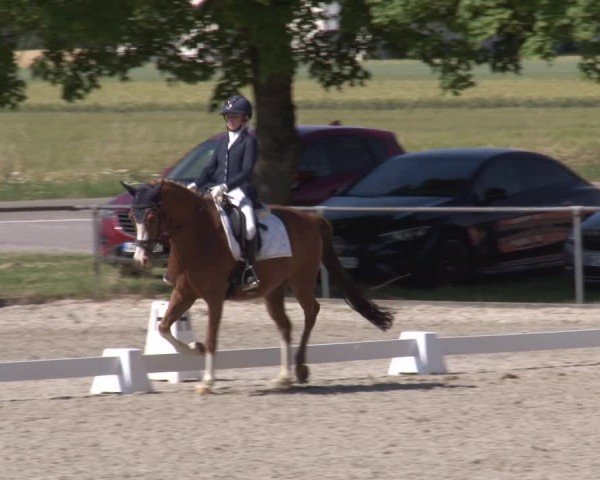 Reitturnier Rot am See- Musdorf 2025