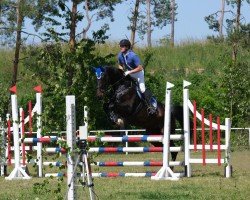 jumper Delilah 73 (Oldenburg show jumper, 2017, from Dallas VDL Z)