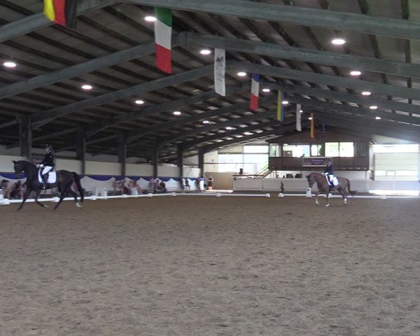 Reitturnier Münster-Albachten 2025