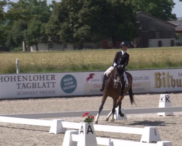 Reitturnier Rot am See- Musdorf 2025