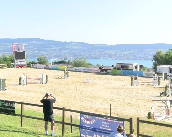 Reitturnier Wädenswil 2025