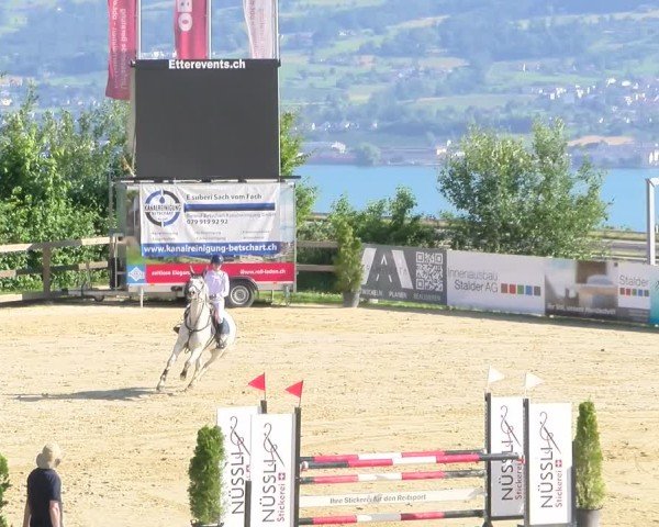 Reitturnier Wädenswil 2025