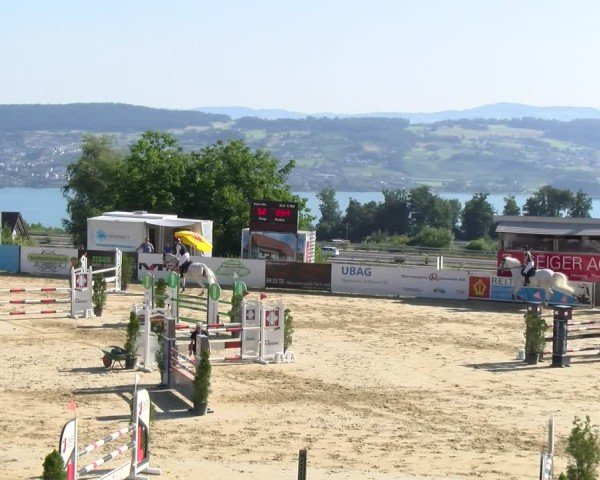 Reitturnier Wädenswil 2025