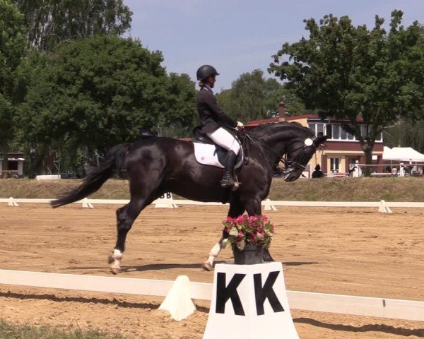 Reitturnier Uenze 2025