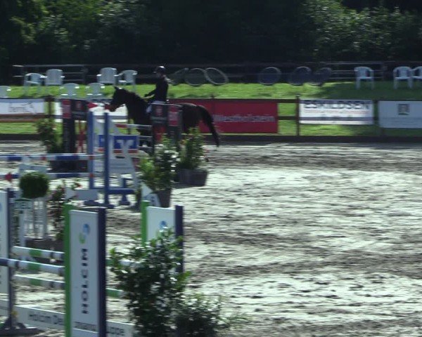 Reitturnier Breitenburg 2025