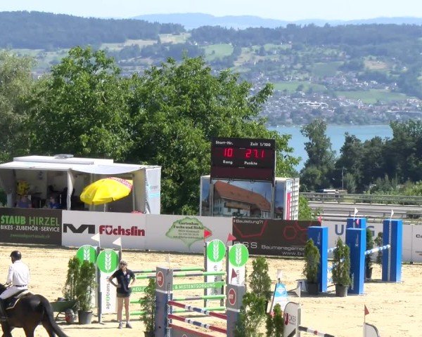 Reitturnier Wädenswil 2025