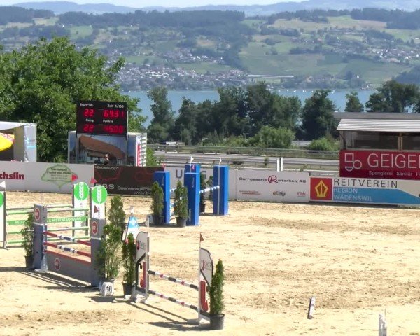 Reitturnier Wädenswil 2025