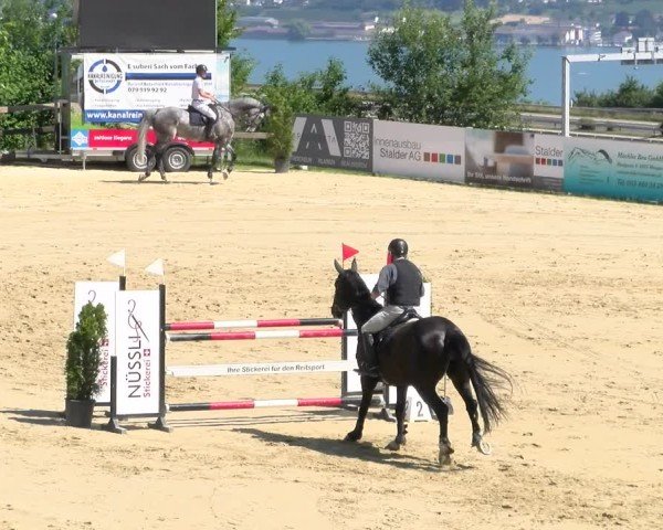 Reitturnier Wädenswil 2025