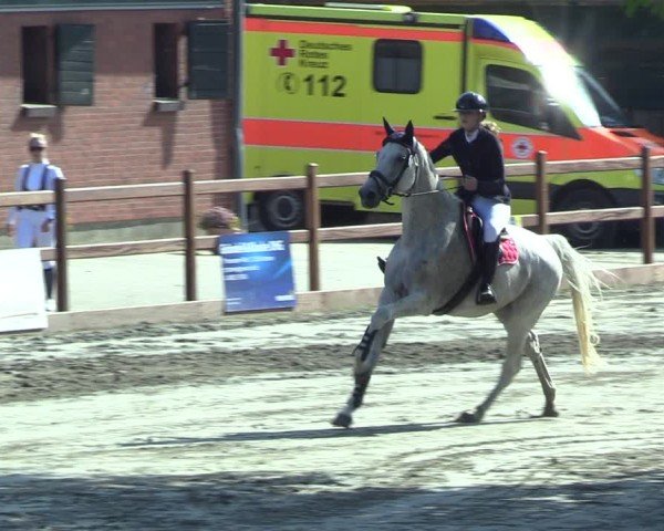 Reitturnier Breitenburg 2025