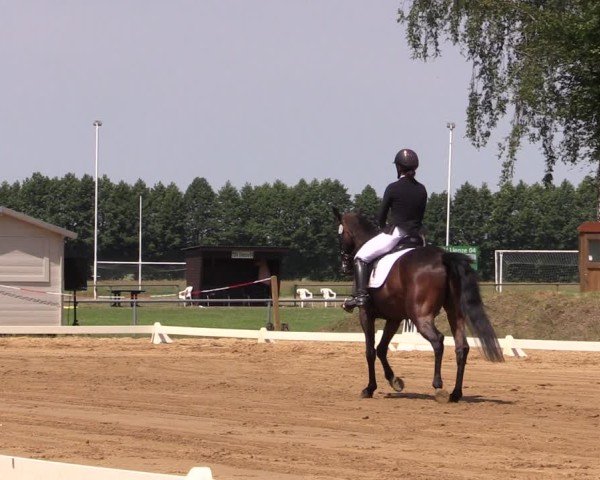 Reitturnier Uenze 2025
