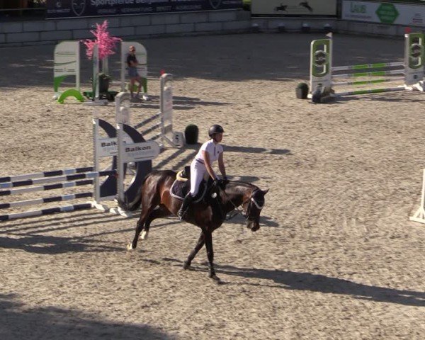 Reitturnier Dorfchemnitz 2025