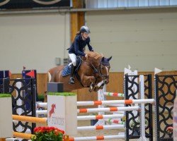 Springpferd Dillon (Deutsches Reitpony, 2011, von FS Daddy Cool)