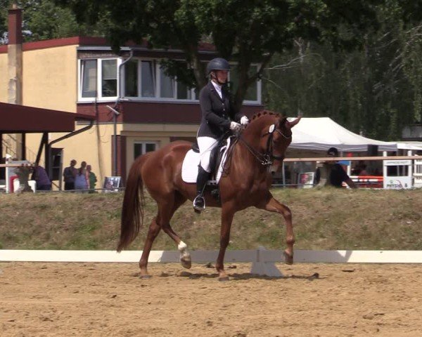 Reitturnier Uenze 2025