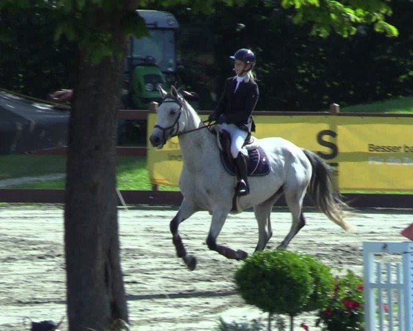 Reitturnier Breitenburg 2025
