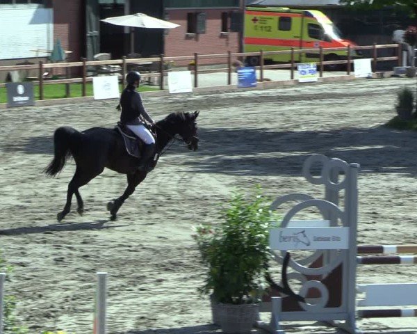 Reitturnier Breitenburg 2025