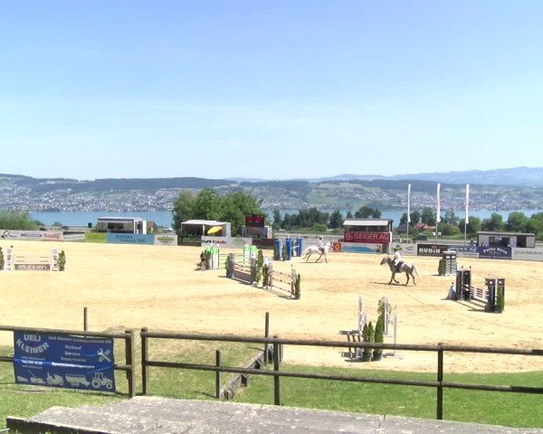 Reitturnier Wädenswil 2025