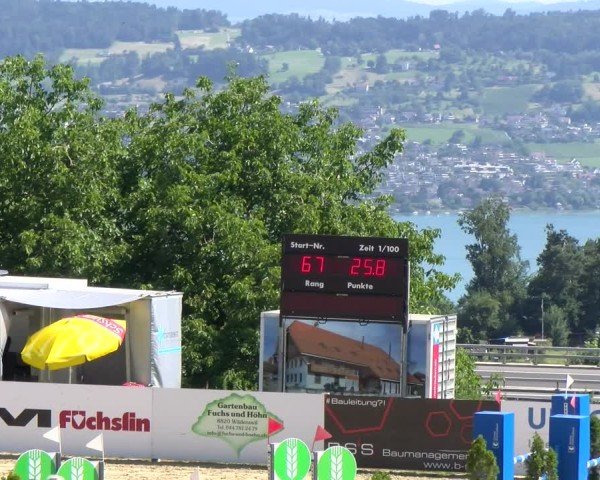 Reitturnier Wädenswil 2025