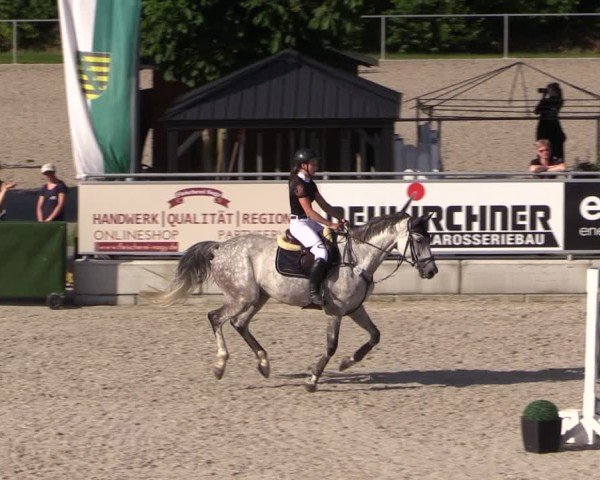 Reitturnier Dorfchemnitz 2025