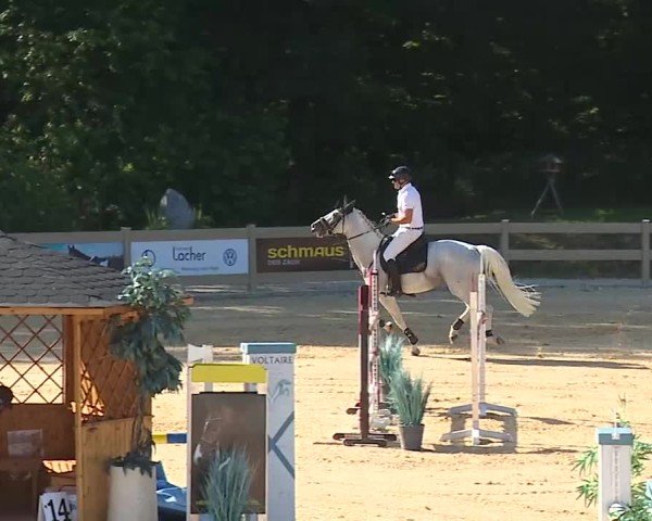 Reitturnier Tiefenhof/Opf. 2025