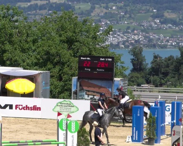 Reitturnier Wädenswil 2025