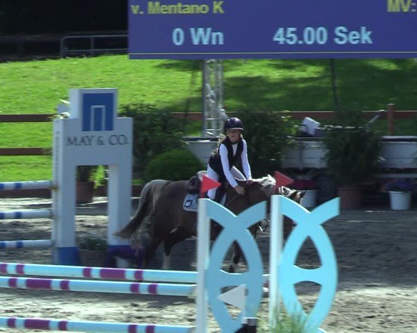 Reitturnier Breitenburg 2025