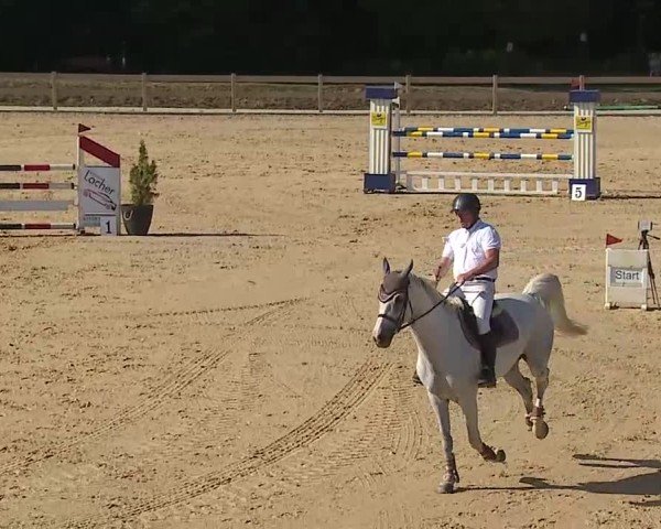 Reitturnier Tiefenhof/Opf. 2025