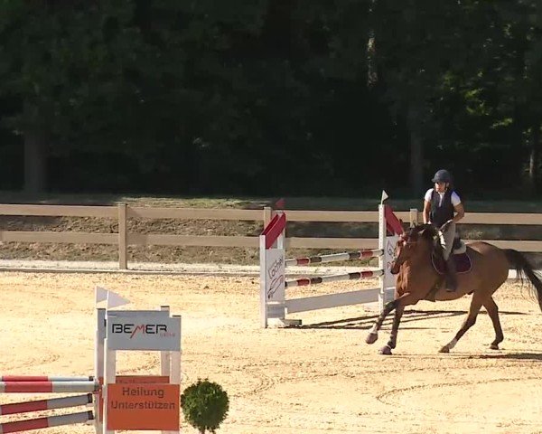 Reitturnier Tiefenhof/Opf. 2025