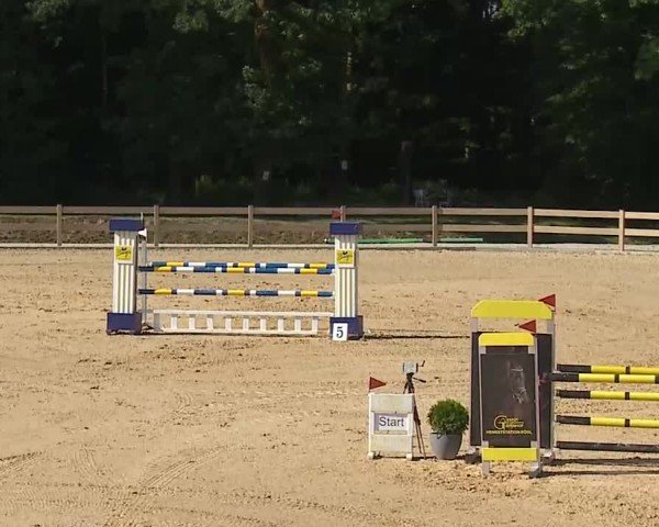 Reitturnier Tiefenhof/Opf. 2025