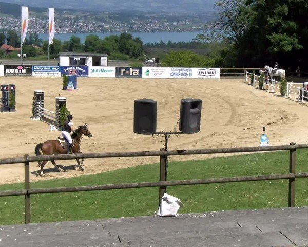 Reitturnier Wädenswil 2025
