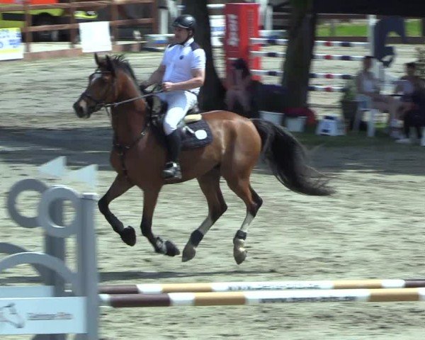Reitturnier Breitenburg 2025