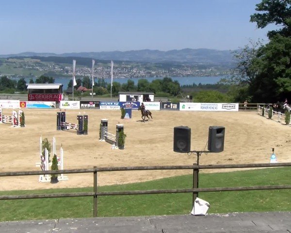 Reitturnier Wädenswil 2025