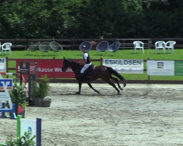 Reitturnier Breitenburg 2025