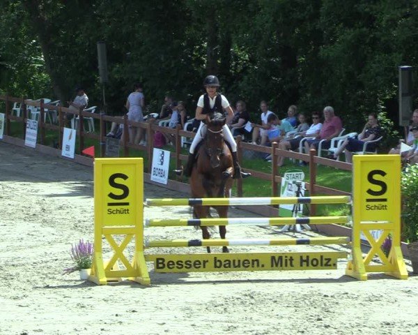 Reitturnier Breitenburg 2025
