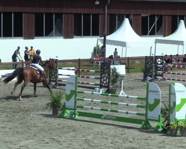 Reitturnier Breitenburg 2025