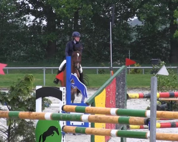 Coesfelder Reitertage 2014
