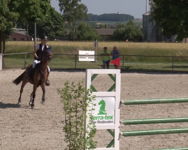 Reitturnier Rot am See- Musdorf 2025