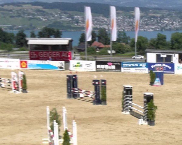 Reitturnier Wädenswil 2025