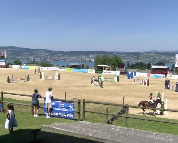 Reitturnier Wädenswil 2025