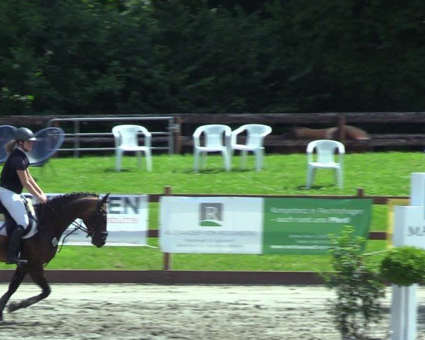 Reitturnier Breitenburg 2025