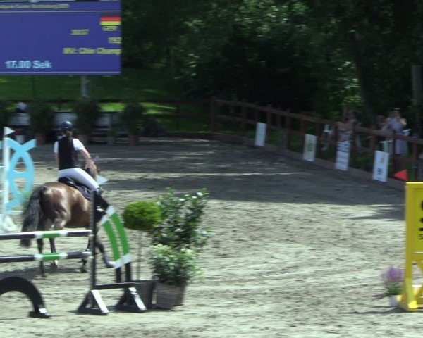Reitturnier Breitenburg 2025