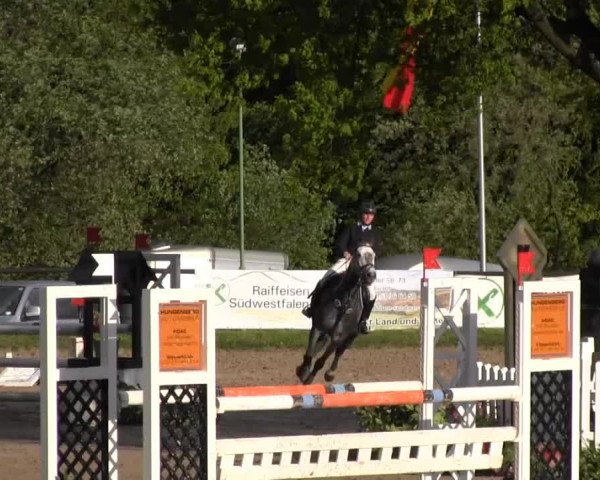 Dressur- und Springturnier Halver 2014
