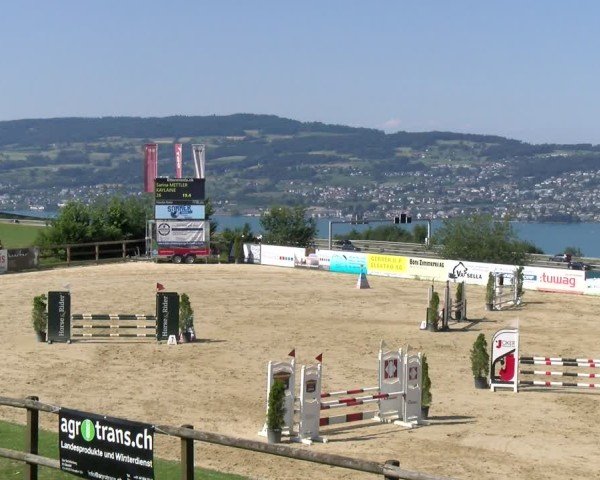 Reitturnier Wädenswil 2025