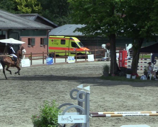 Reitturnier Breitenburg 2025