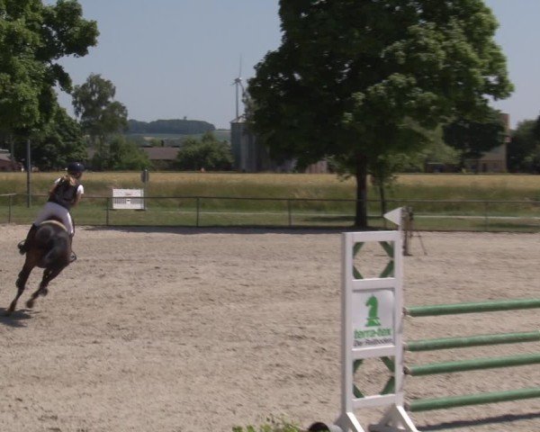 Reitturnier Rot am See- Musdorf 2025