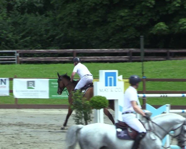 Reitturnier Breitenburg 2025