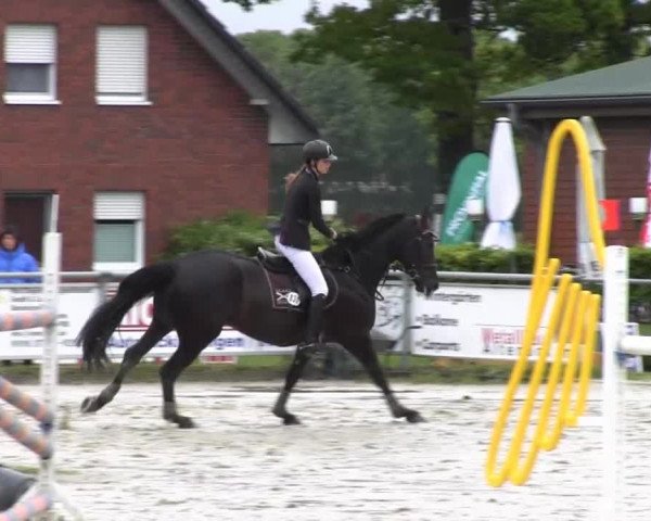 Coesfelder Reitertage 2014