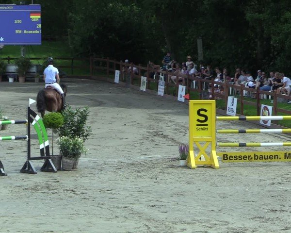 Reitturnier Breitenburg 2025