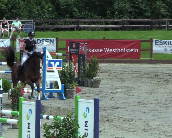 Reitturnier Breitenburg 2025
