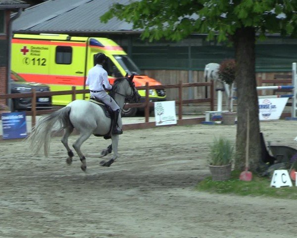 Reitturnier Breitenburg 2025