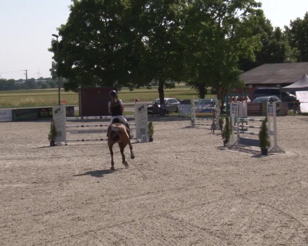 Reitturnier Rot am See- Musdorf 2025